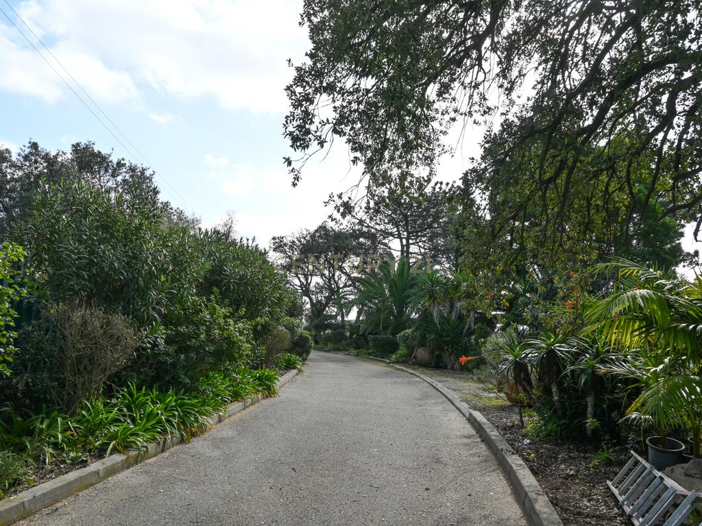 Quinta Paio Pires T5 em terreno de 17200m2 - Image 38