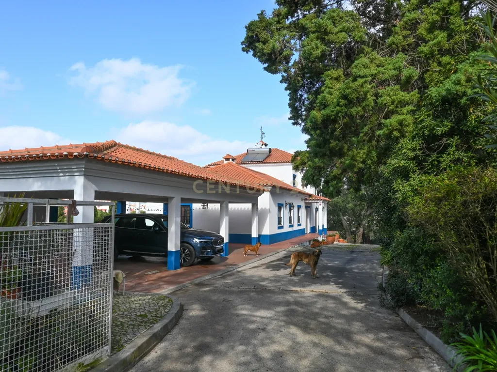 Quinta Paio Pires T5 em terreno de 17200m2 - Image 36