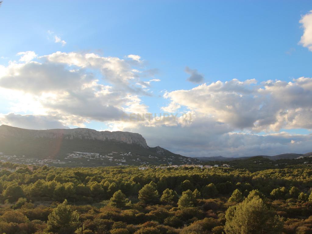 undefined - Image 12