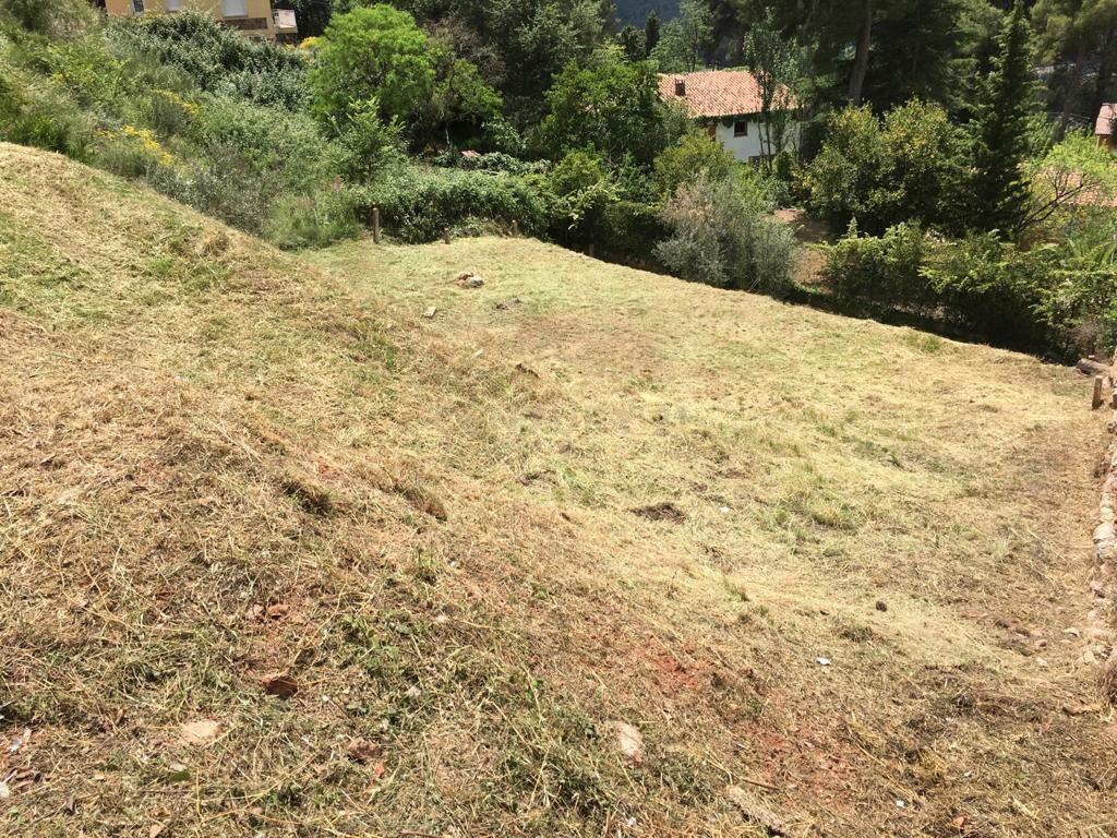undefined - Image 8