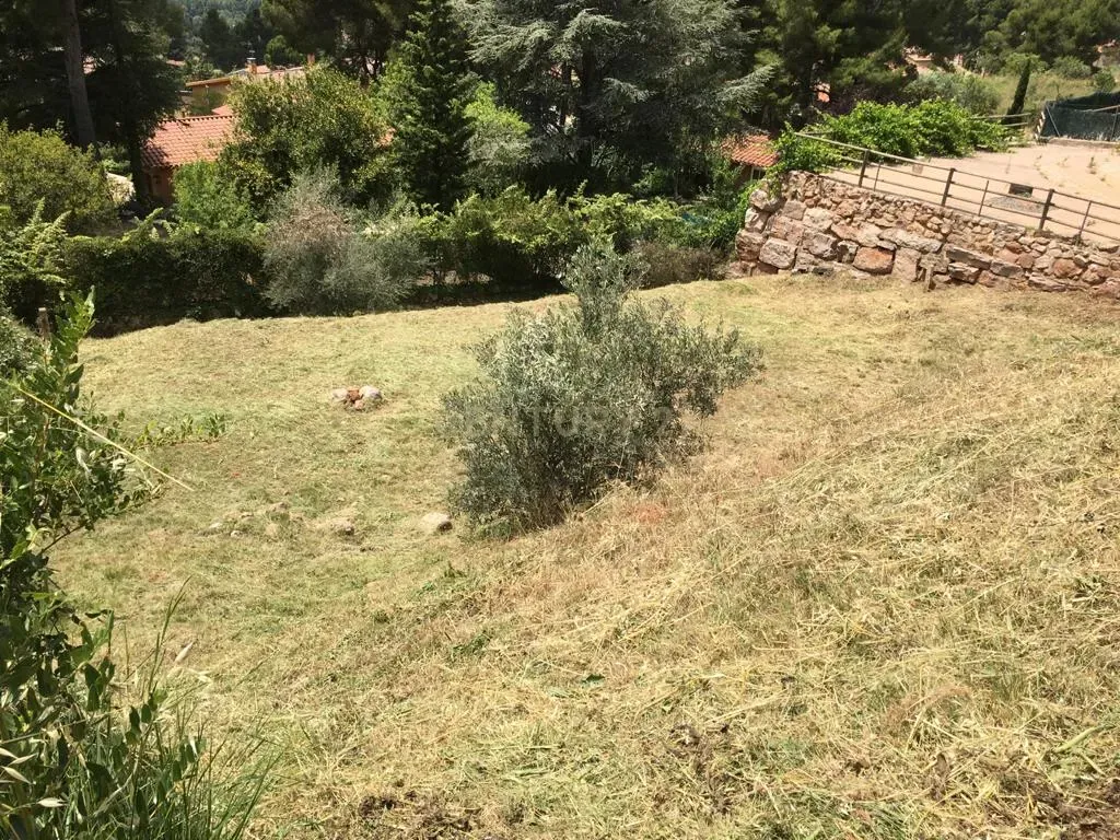 undefined - Image 5