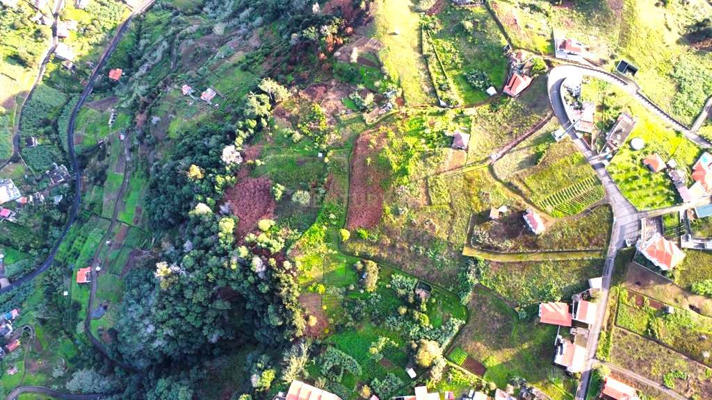 Terreno na Achada, Porto da cruz - Machico - Image 11