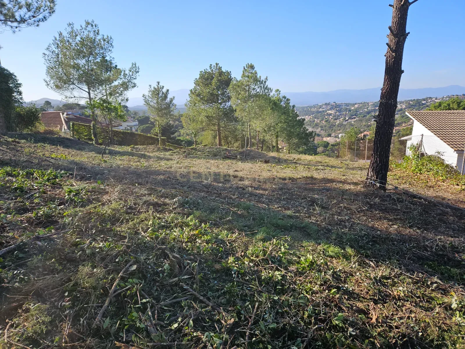 undefined - Image 1