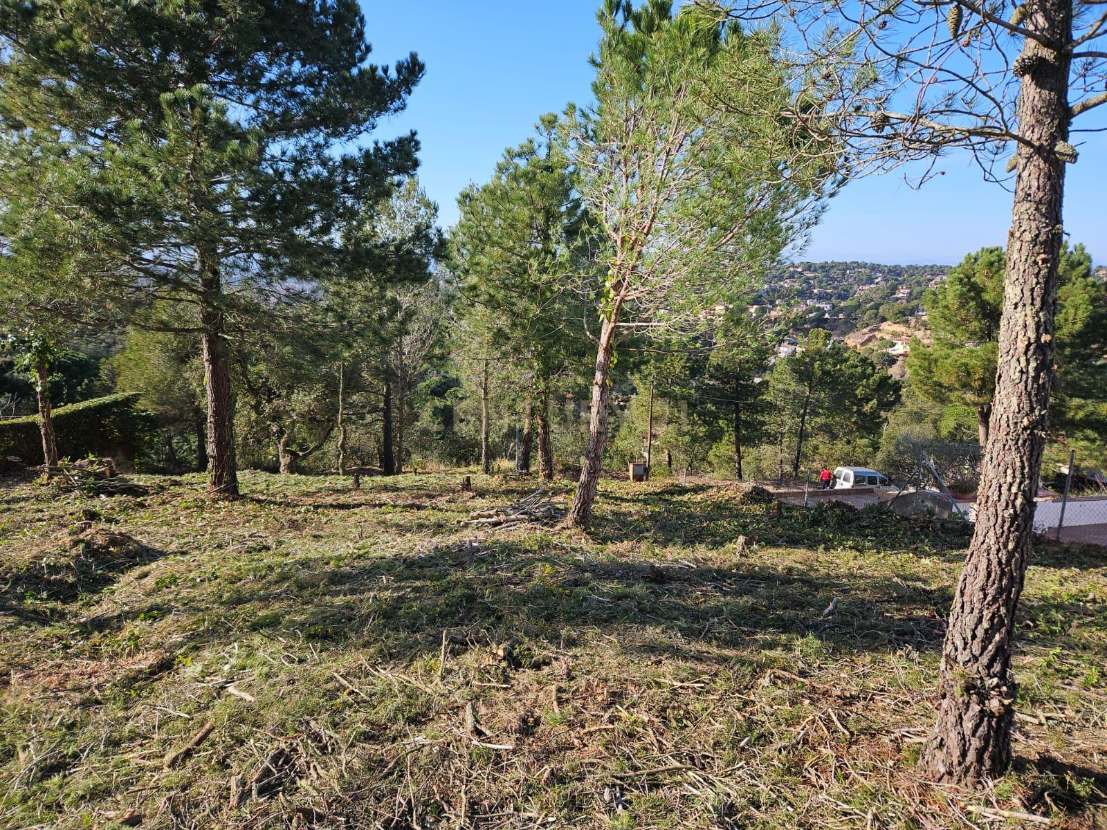 undefined - Image 14
