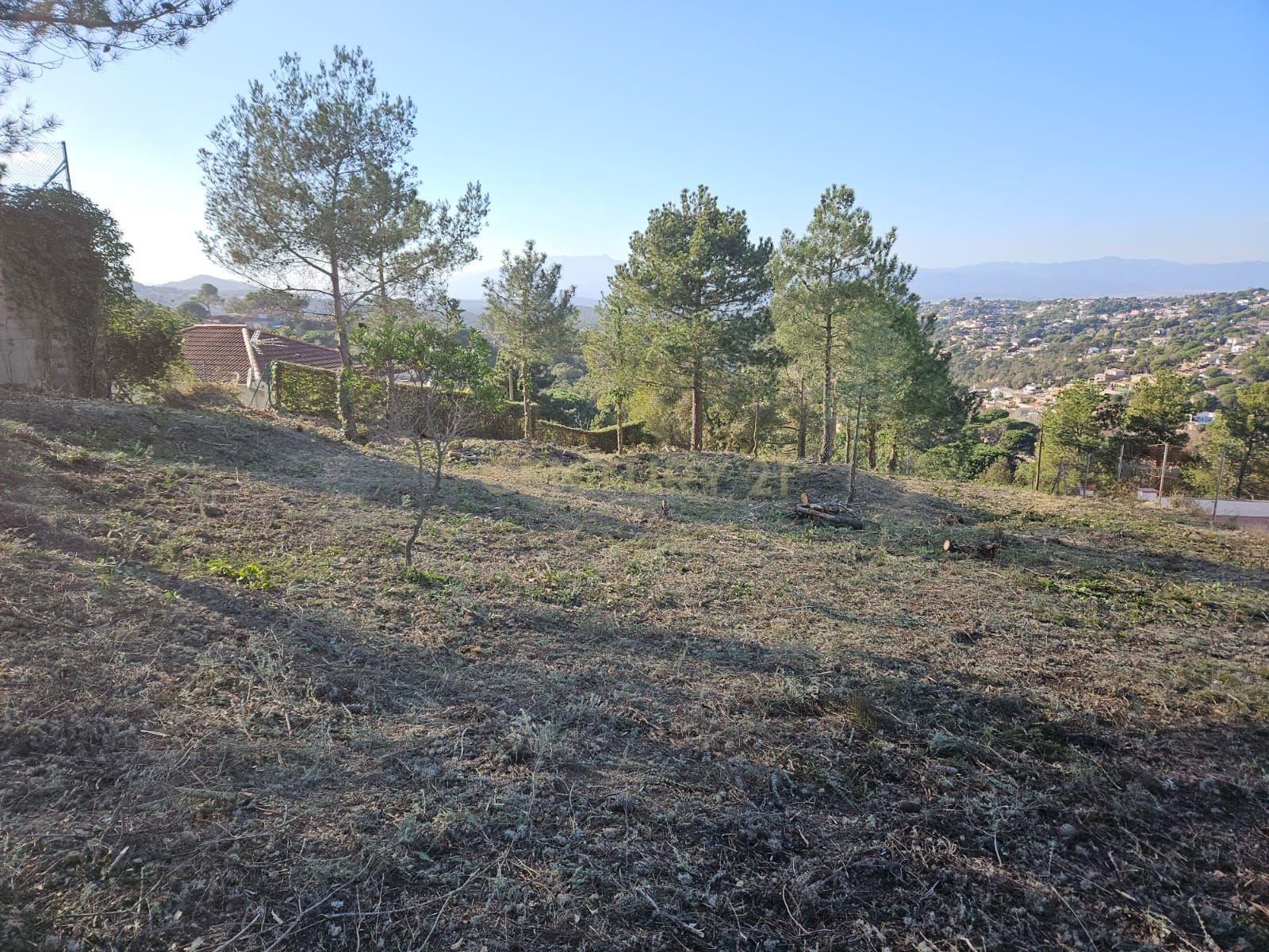 undefined - Image 13