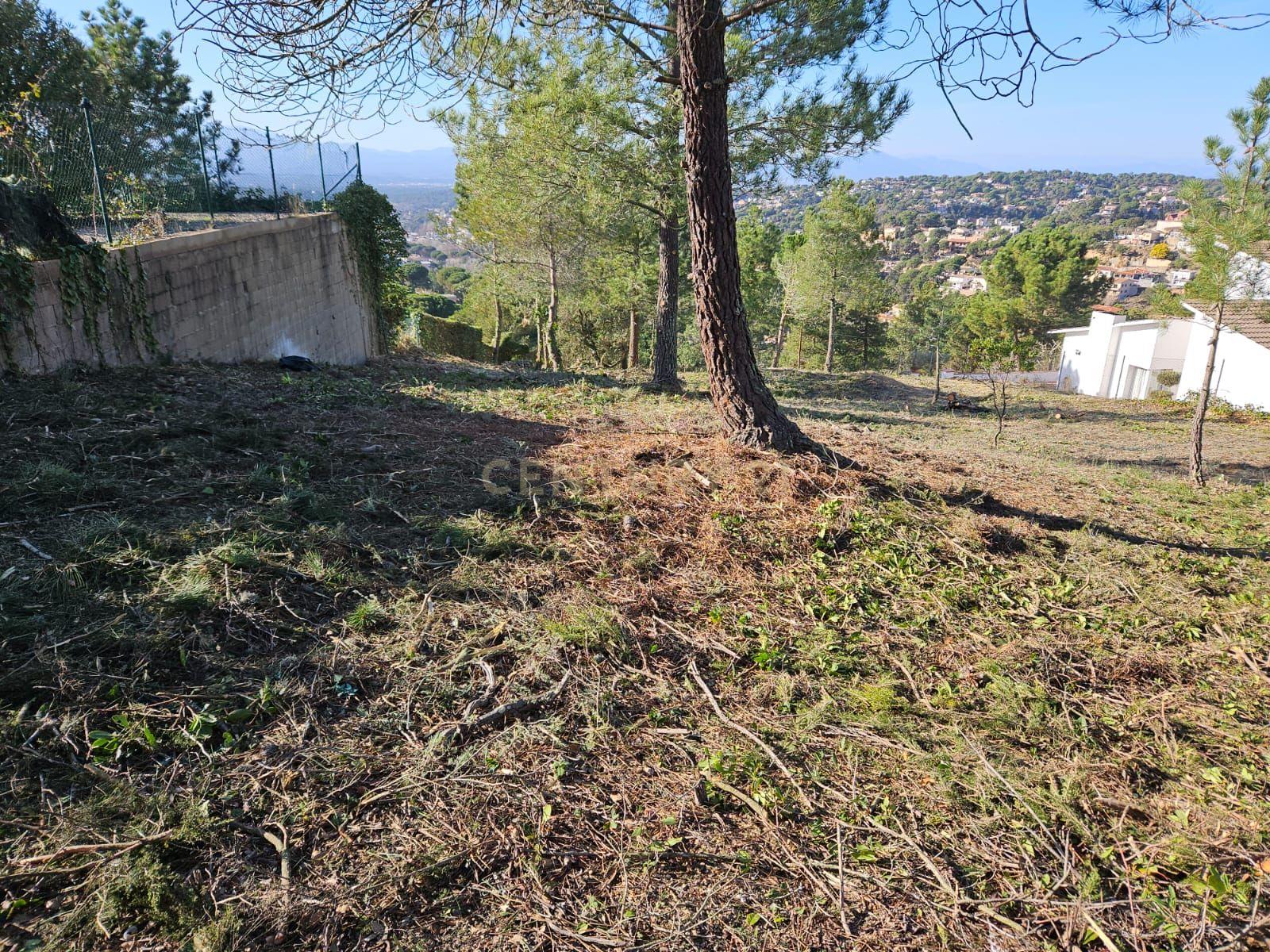 undefined - Image 5