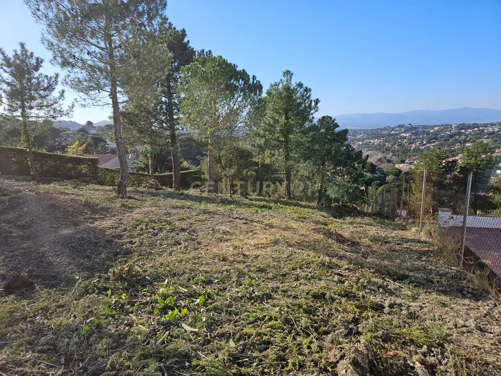 undefined - Image 7