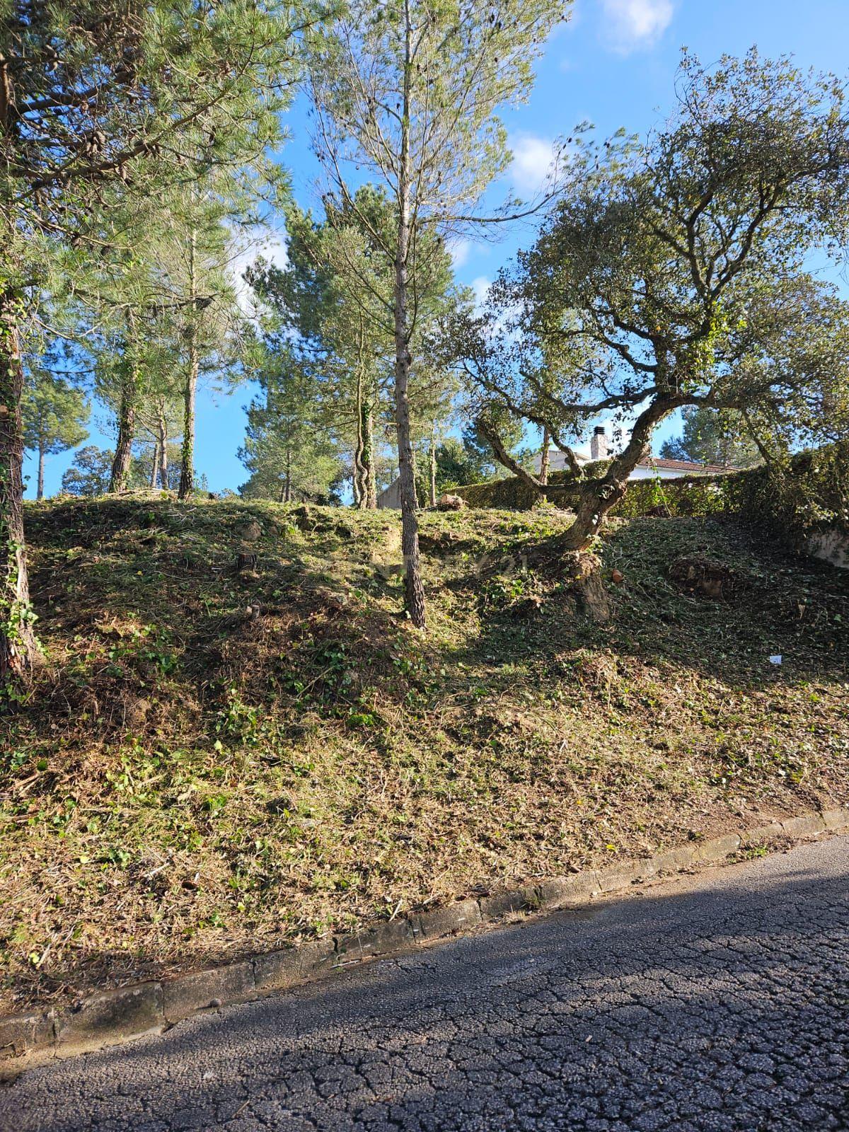 undefined - Image 16