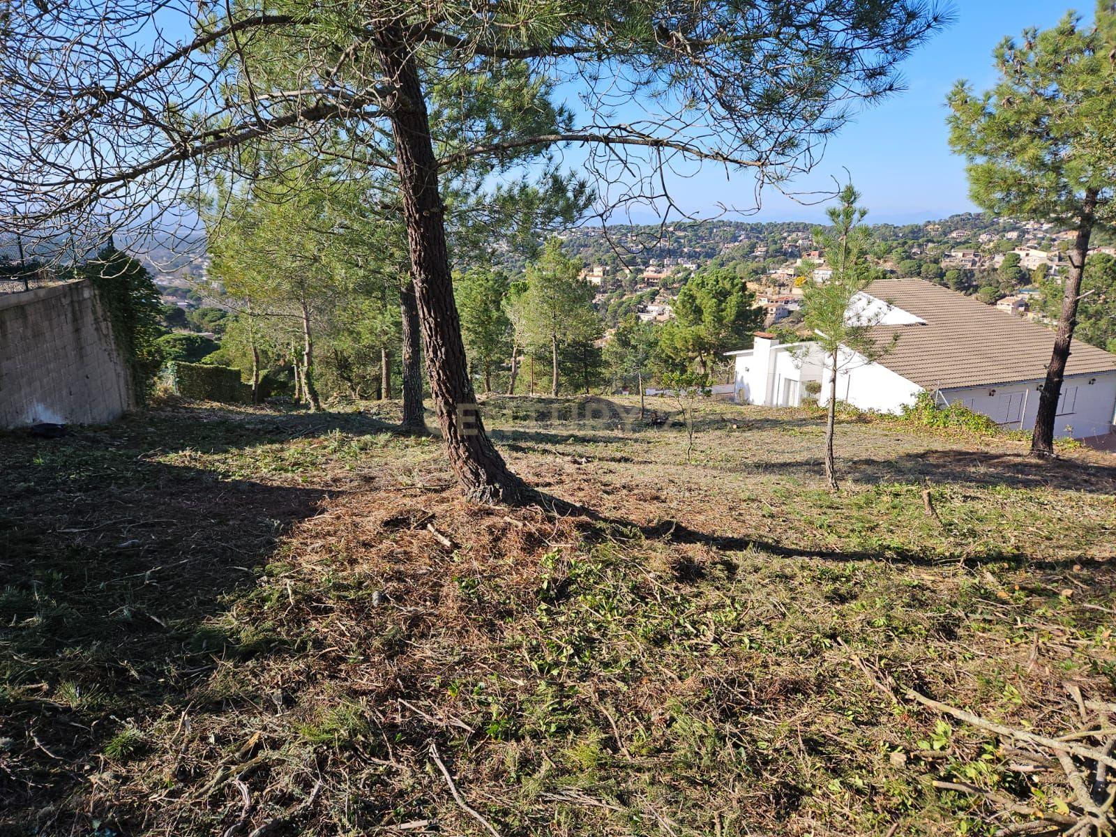 undefined - Image 11