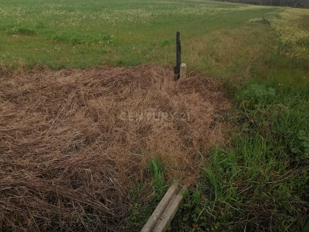 Terreno 5000m2 Urbanizável em Lagameças - Image 19