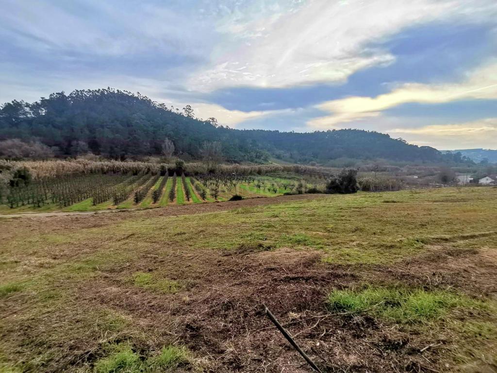 Terreno Urbano em Alfeizerão, Alcobaça - 600m² por 119.000€ - Image 11