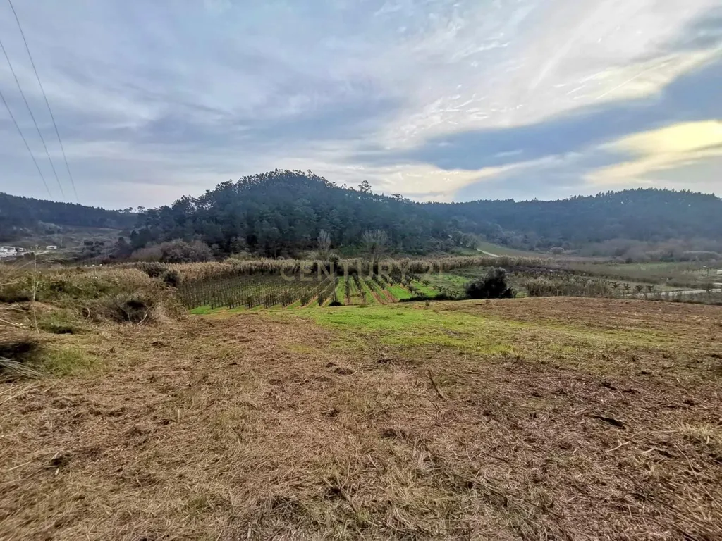 Terreno Urbano em Alfeizerão, Alcobaça - 600m² por 119.000€ - Image 9