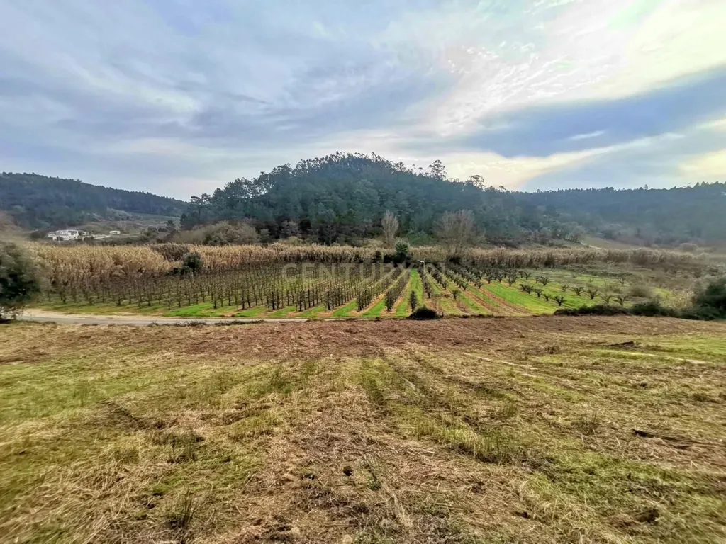 Terreno Urbano em Alfeizerão, Alcobaça - 600m² por 119.000€ - Image 10