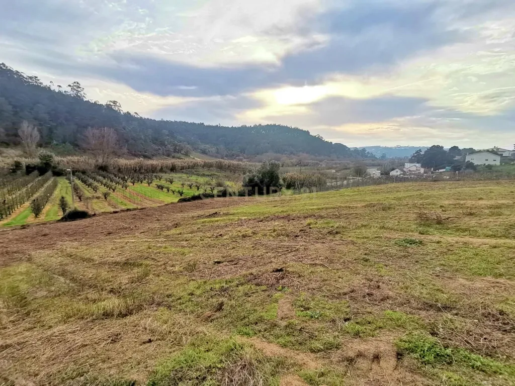 Terreno Urbano em Alfeizerão, Alcobaça - 600m² por 119.000€ - Image 8