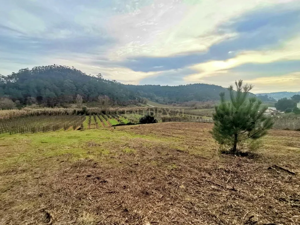 Terreno Urbano em Alfeizerão, Alcobaça - 600m² por 119.000€ - Image 5