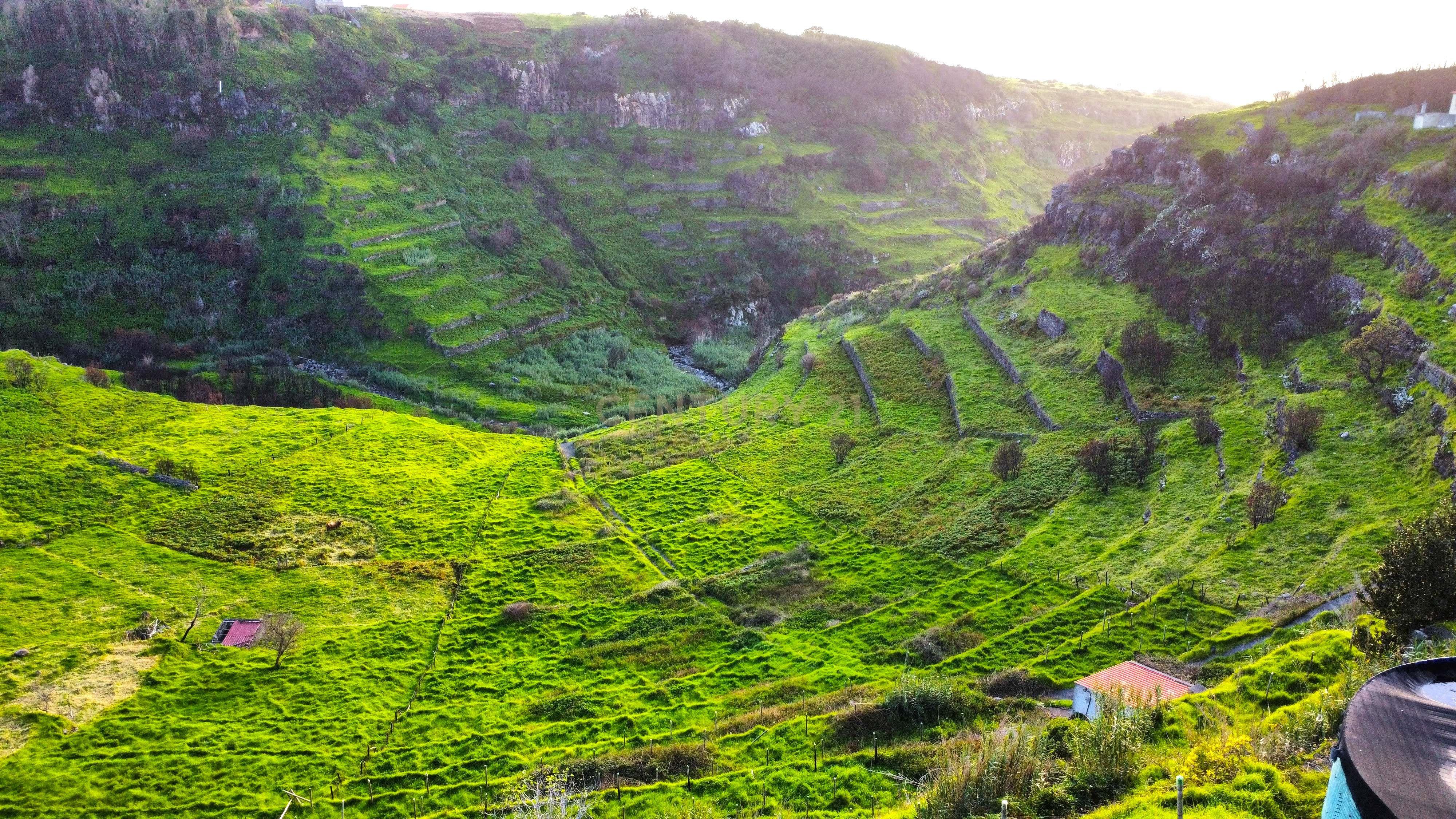 Terreno para Construção na Ponta do Pargo – 8.000 m² em Vale Privilegiado Próximo ao Novo Campo de Golfe - Image 8