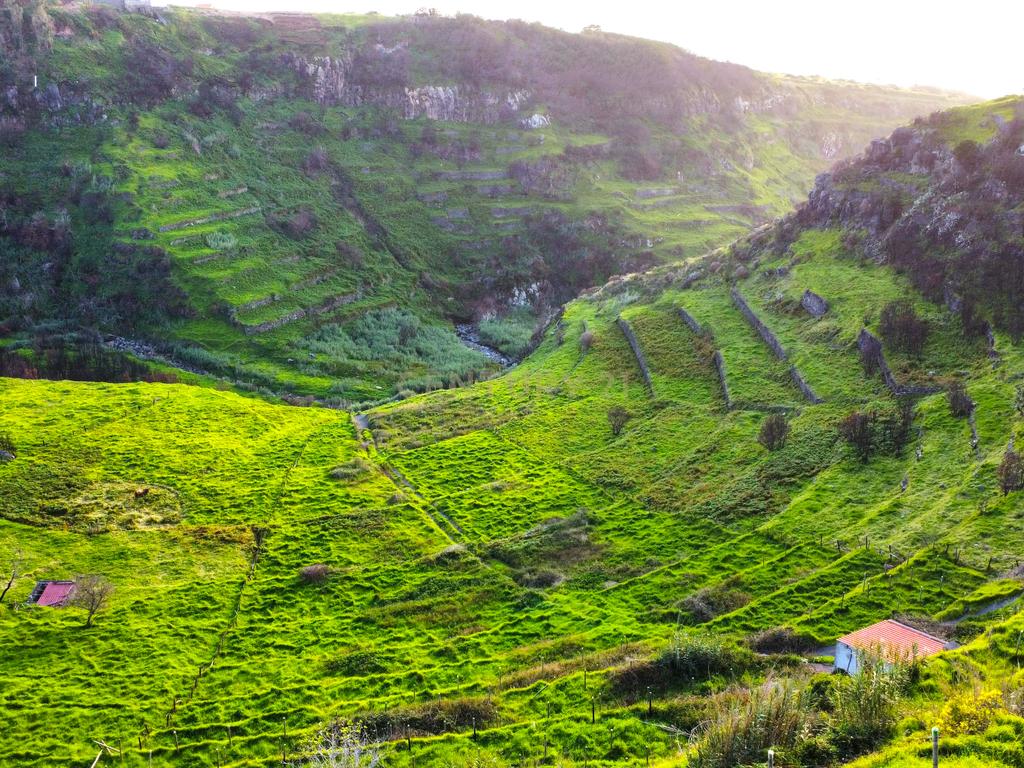 Terreno para Construção na Ponta do Pargo – 8.000 m² em Vale Privilegiado Próximo ao Novo Campo de Golfe - Image 8
