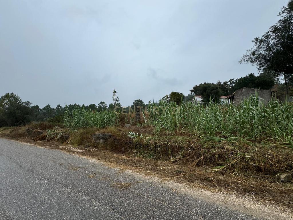 Moradia em ruina sita em Assanha da Paz - Image 4