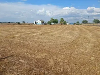 Monte Alentejano "Montinho dos Avós" Terreno Rustico 4750m2 com construção Modular - Image 14