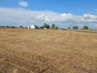 Monte Alentejano "Montinho dos Avós" Terreno Rustico 4750m2 com construção Modular - Image 22