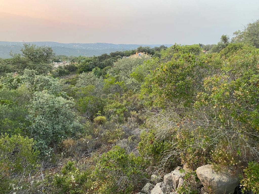 Lote de Terreno de 5800 m2 em Goldra, Loulé, com Vista Magnífica para a Serra Algarvia - Image 1