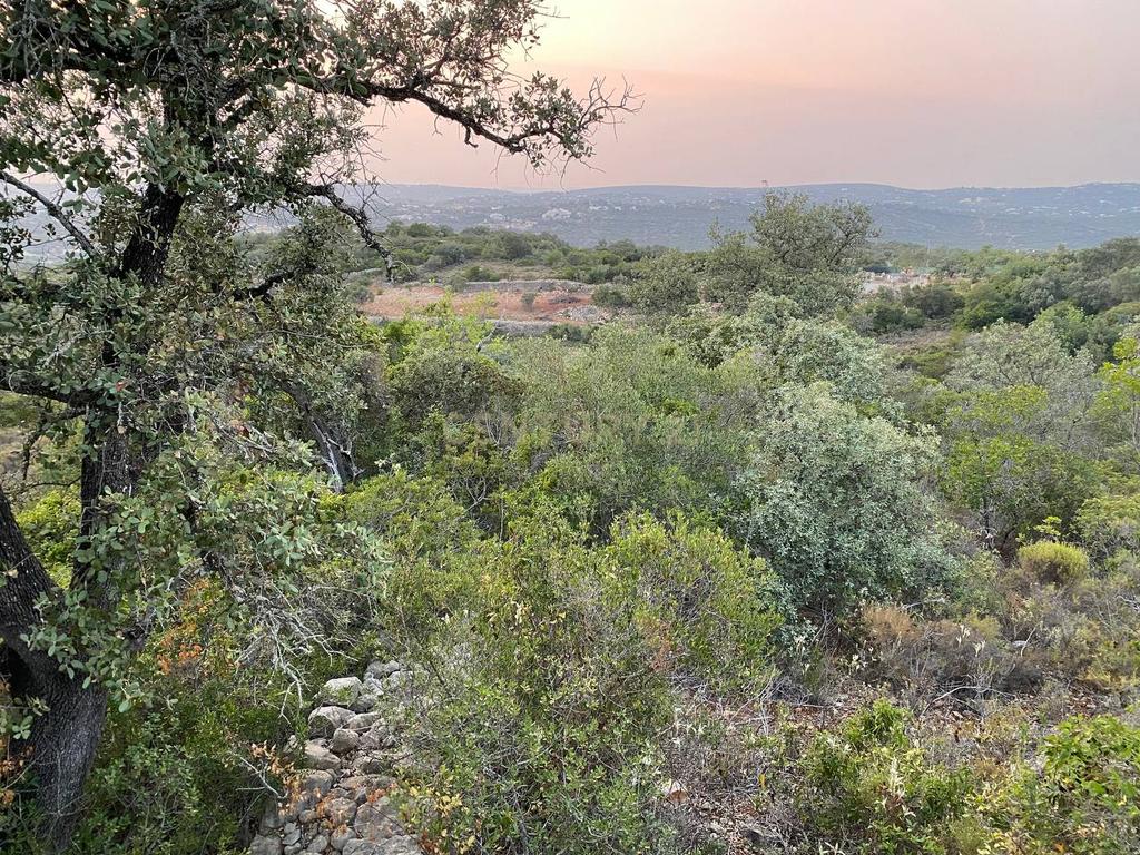 Lote de Terreno de 5800 m2 em Goldra, Loulé, com Vista Magnífica para a Serra Algarvia - Image 6