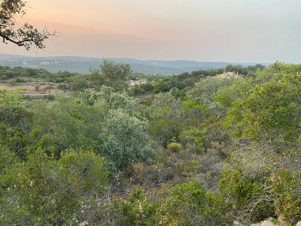 Lote de Terreno de 5800 m2 em Goldra, Loulé, com Vista Magnífica para a Serra Algarvia - Image 3