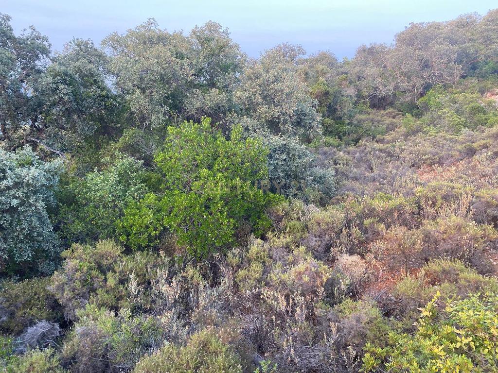 Lote de Terreno de 5800 m2 em Goldra, Loulé, com Vista Magnífica para a Serra Algarvia - Image 5