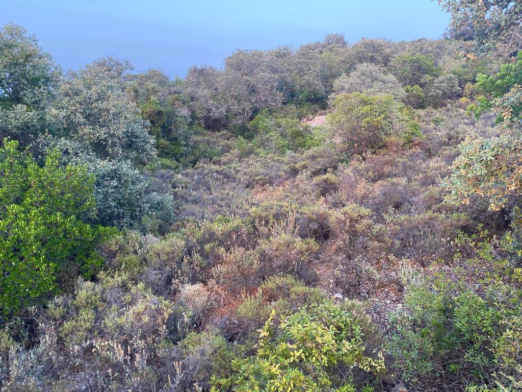 Lote de Terreno de 5800 m2 em Goldra, Loulé, com Vista Magnífica para a Serra Algarvia - Image 7