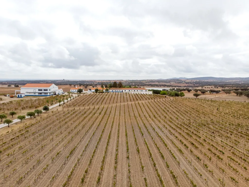 Herdade de 190 Hectares (16 Hectares de Vinha) a 10 km do lago de Alqueva (Alentejo, Portugal) - Image 31