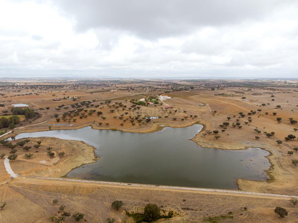 Herdade de 190 Hectares (16 Hectares de Vinha) a 10 km do lago de Alqueva (Alentejo, Portugal) - Image 32