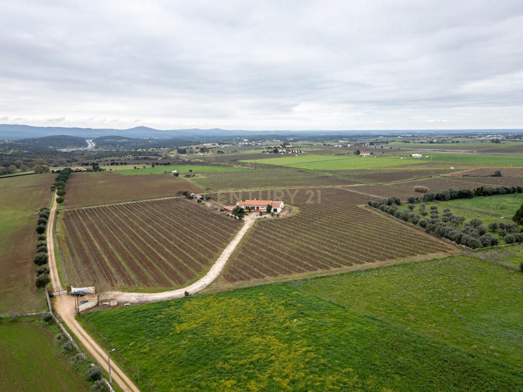 Descubra o seu Refúgio dos Sonhos no Alentejo! - Image 33