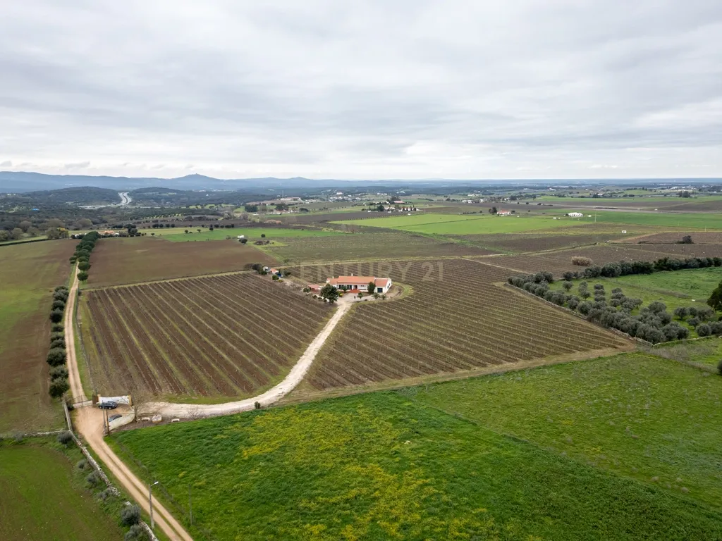 Descubra o seu Refúgio dos Sonhos no Alentejo! - Image 33