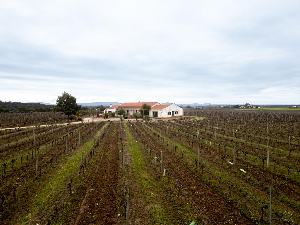 Descubra o seu Refúgio dos Sonhos no Alentejo! - Image 30