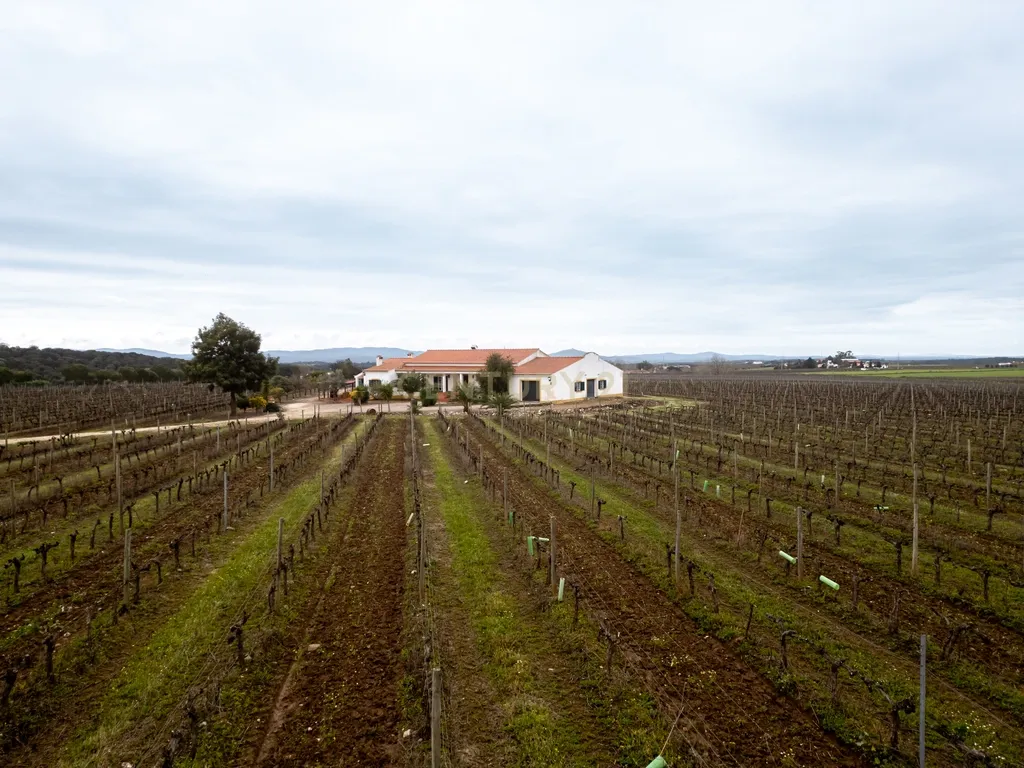 Descubra o seu Refúgio dos Sonhos no Alentejo! - Image 30