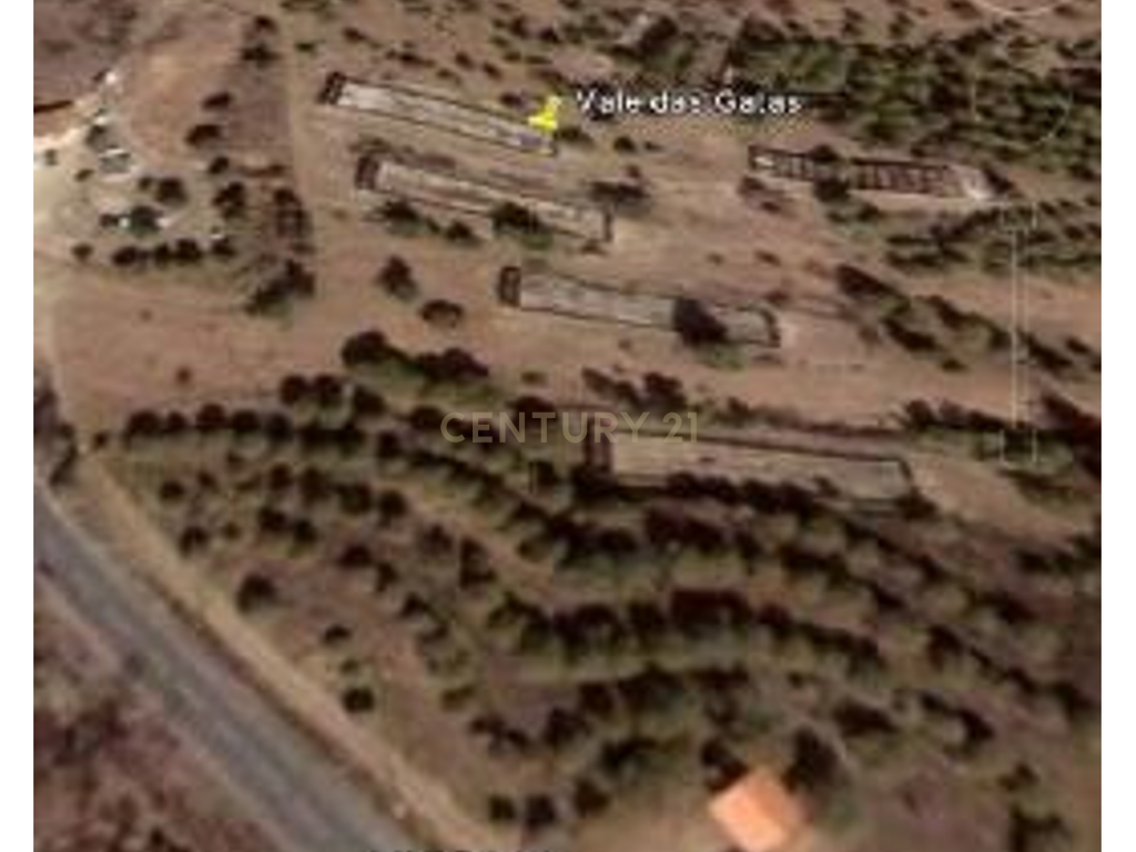 Terreno 11,300 Hectares Odeleite - Image 7