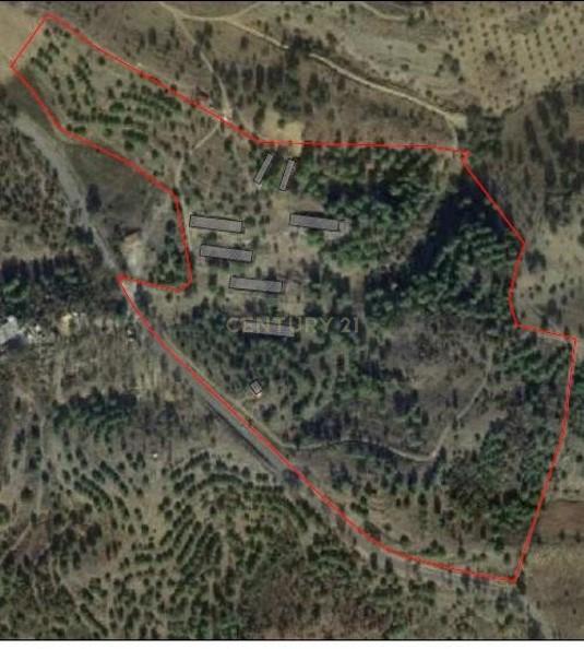 Terreno 11,300 Hectares Odeleite - Image 19