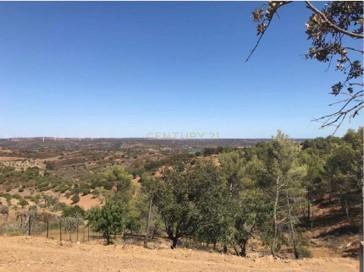 Terreno 11,300 Hectares Odeleite - Image 8