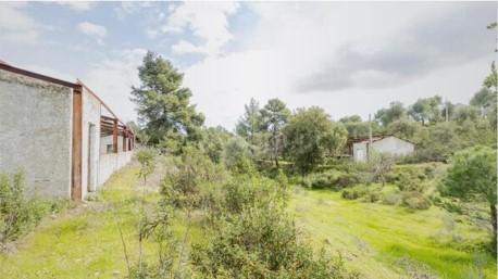 Terreno 11,300 Hectares Odeleite - Image 10