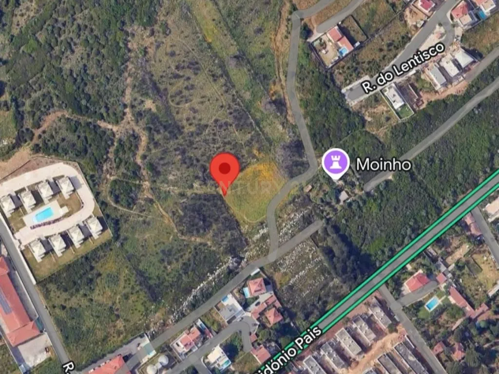 Terreno Urbano de 500m2 para construção - Image 3