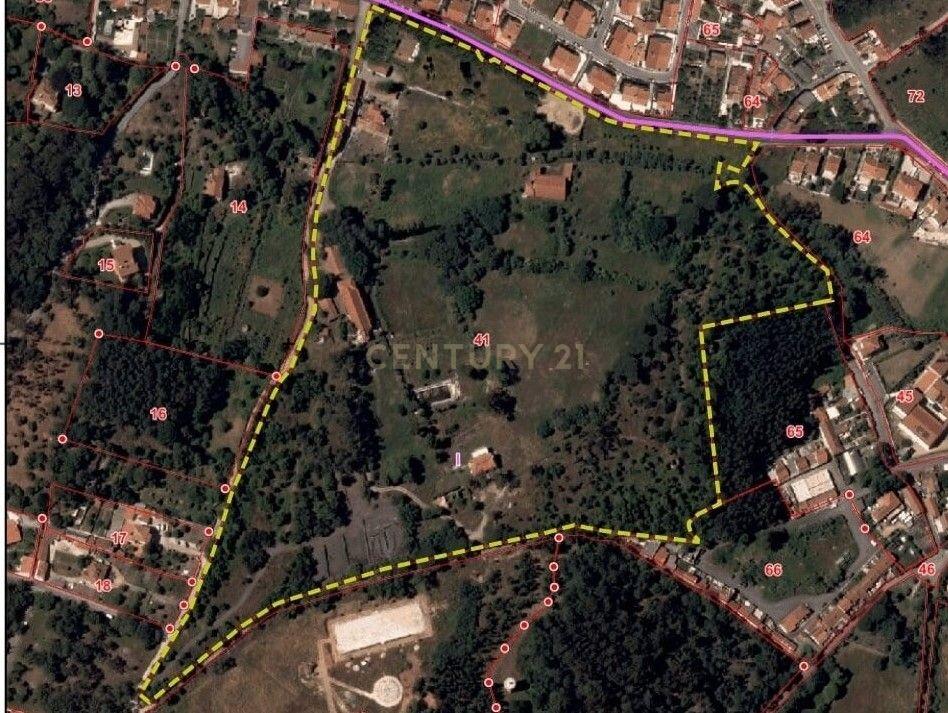 Quinta do Paraíso, Sintra. Aeroporto de Cascais a 25 minutos. - Image 21