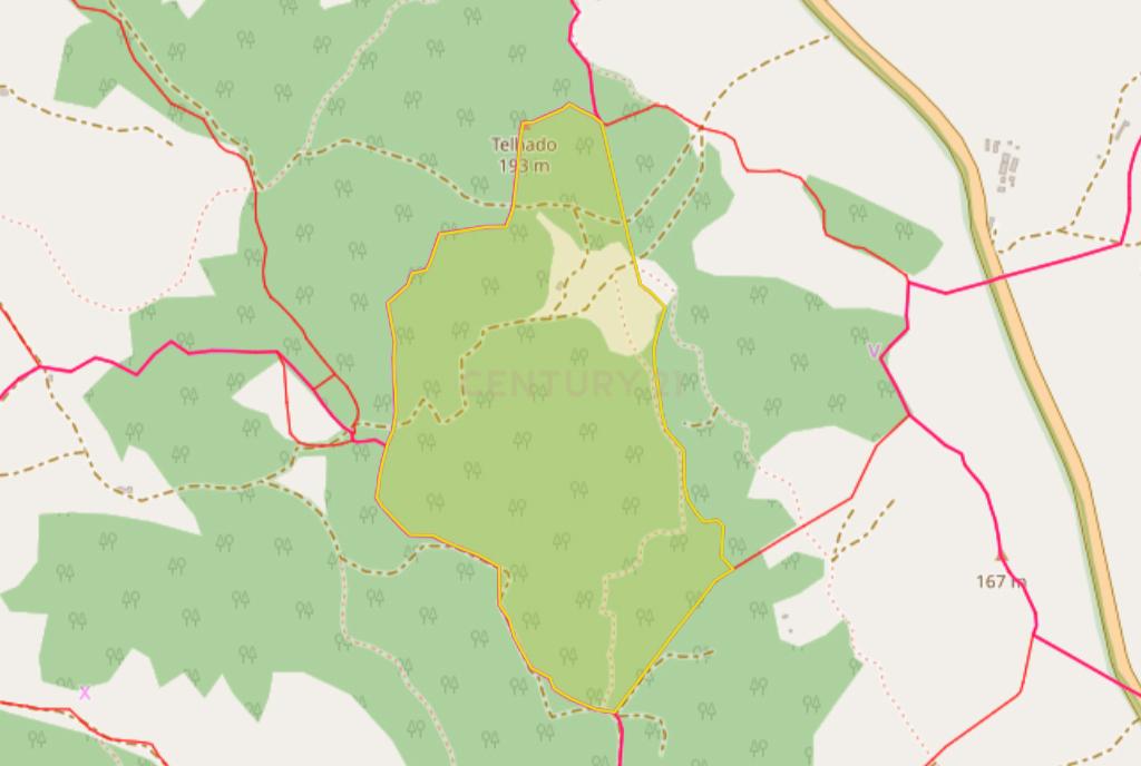 Herdade em S.Luis, Odemira - Image 5