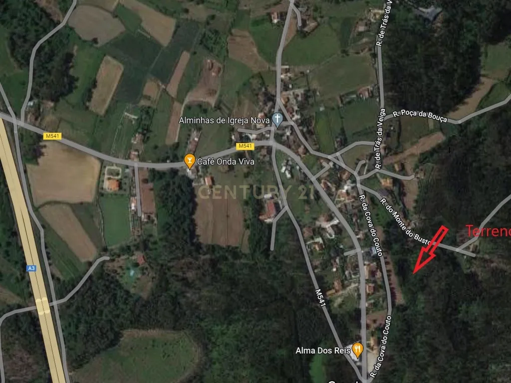 Terreno com 23.000 m2 em Igreja Nova - Barcelos - Image 4