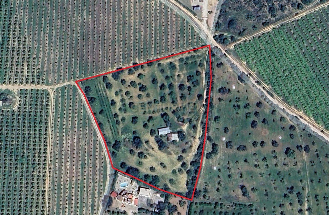 Terreno Rústico com 15.840m2 à Venda em Moncarapacho – Álamo - Image 12