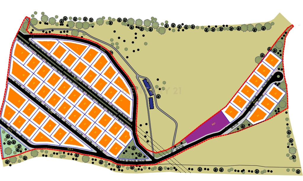Terreno de 10 ha para Loteamento de 53 moradias unifamiliares - Image 2