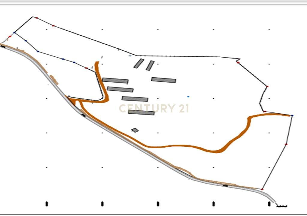 Terreno 11,300 Hectares Odeleite - Image 21