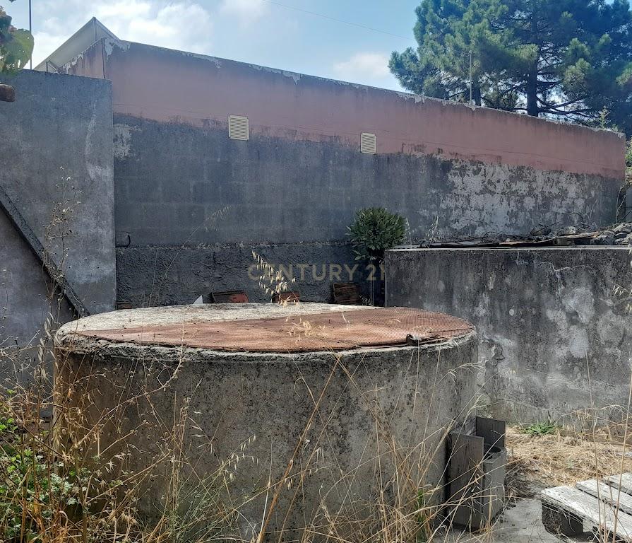 TERRENO NA QUINTA DO ANJO - Image 3