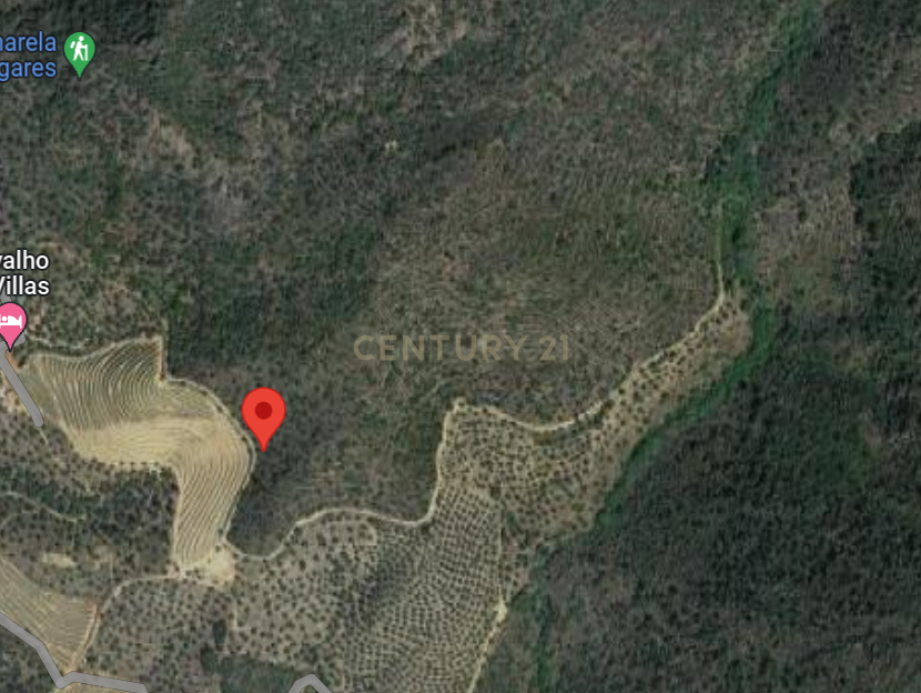 Lotes de terrenos em Vilarinho da Castanheira - Image 6