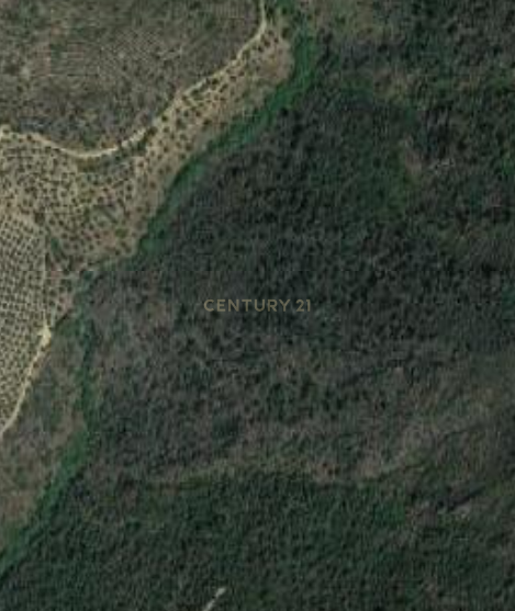 Lotes de terrenos em Vilarinho da Castanheira - Image 7