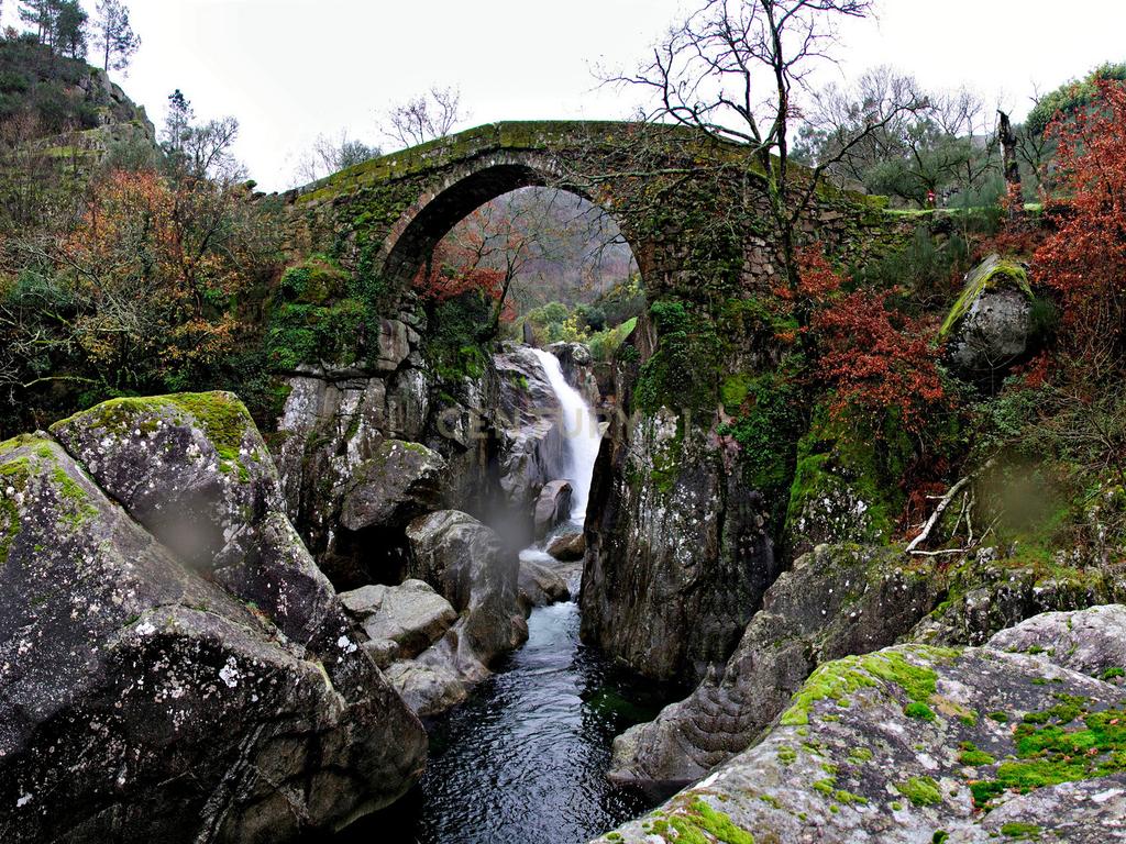 Quinta com água Nascente na Zona de Gerês - Image 58